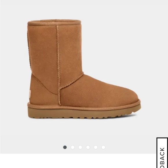 Ugg Classic Short II - Chestnut - Ladies US5 - Picture 4 of 5